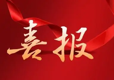 公司又雙叒叕榮膺“上海市文明單位”稱號